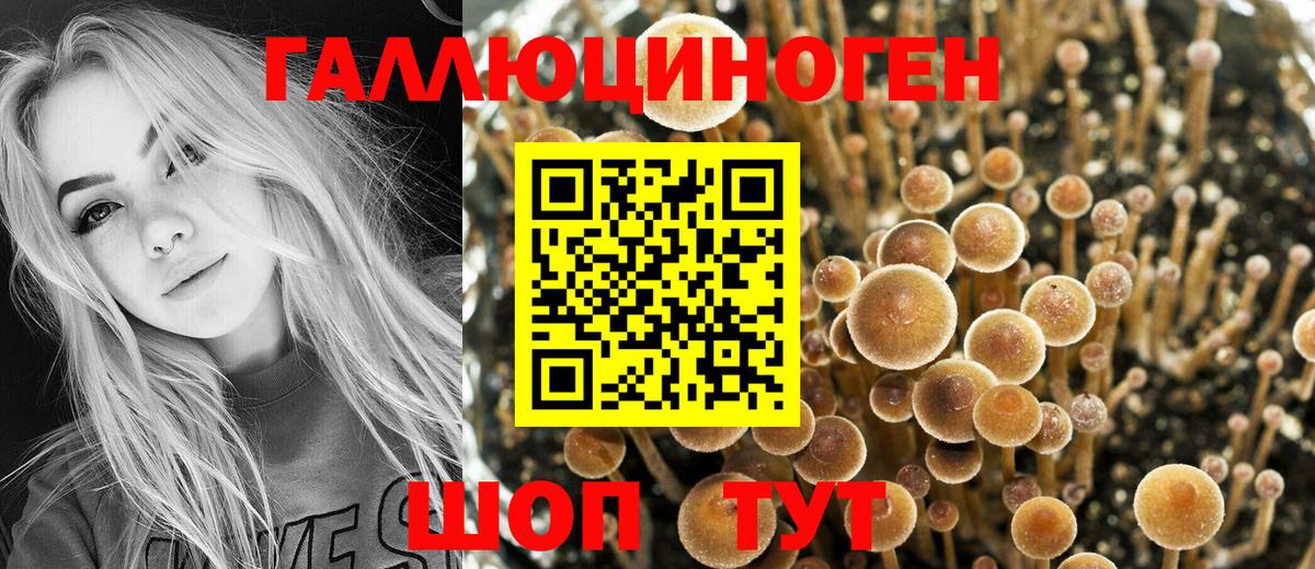Галлюциногенные грибы мухоморы Ухта